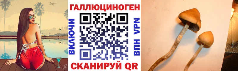 Галлюциногенные грибы мухоморы  Купить  Сураж 